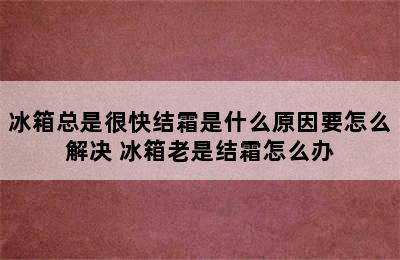 冰箱总是很快结霜是什么原因要怎么解决 冰箱老是结霜怎么办